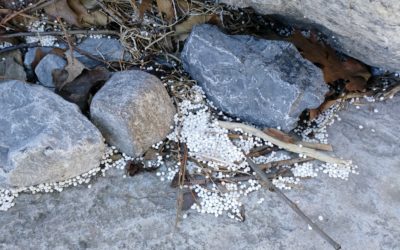 Field Log #002 – Polystyrene pieces everywhere